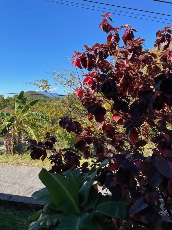 Jardin Sur Mer Terre-De-Haut Ngoại thất bức ảnh