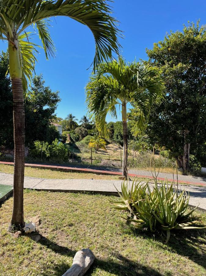 Jardin Sur Mer Terre-De-Haut Ngoại thất bức ảnh