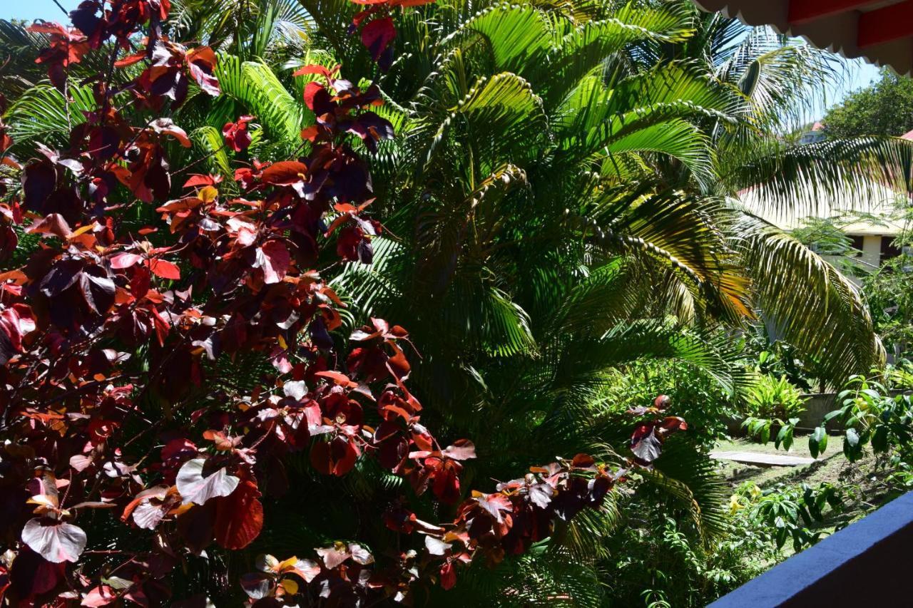 Jardin Sur Mer Terre-De-Haut Ngoại thất bức ảnh