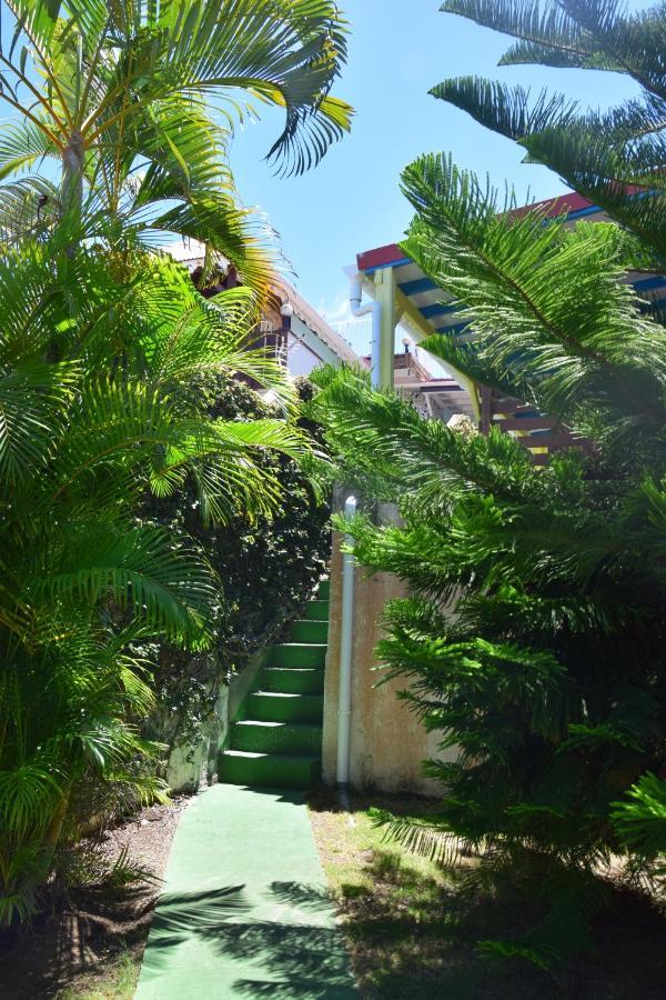 Jardin Sur Mer Terre-De-Haut Ngoại thất bức ảnh