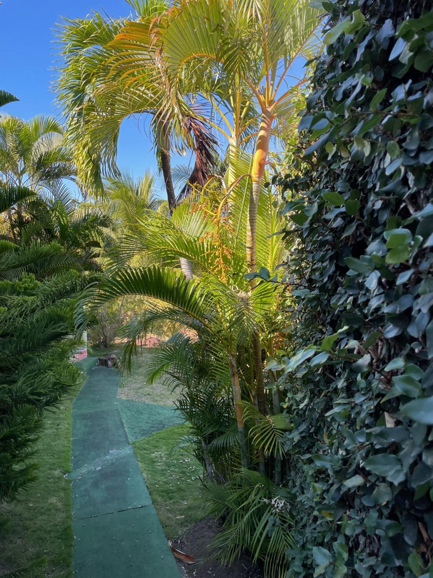 Jardin Sur Mer Terre-De-Haut Ngoại thất bức ảnh
